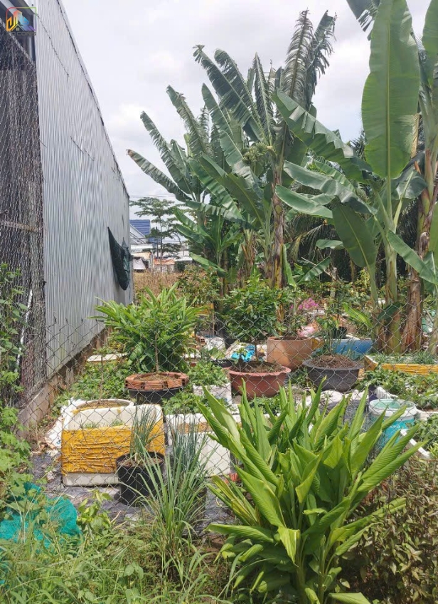 XÂY NHÀ TRỌN GÓI CHỊ TIÊN SA ĐÉC- ĐỒNG THÁP