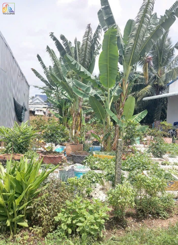 XÂY NHÀ TRỌN GÓI CHỊ TIÊN SA ĐÉC- ĐỒNG THÁP