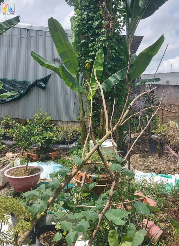 XÂY NHÀ TRỌN GÓI CHỊ TIÊN SA ĐÉC- ĐỒNG THÁP